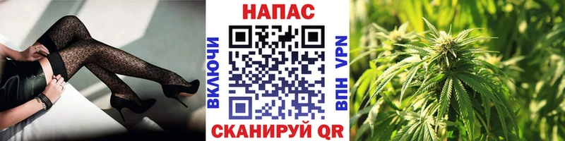 даркнет сайт  Анива  Канабис семена 